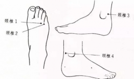 颈椎按摩手法视频教学,轻松掌握专业按摩技巧